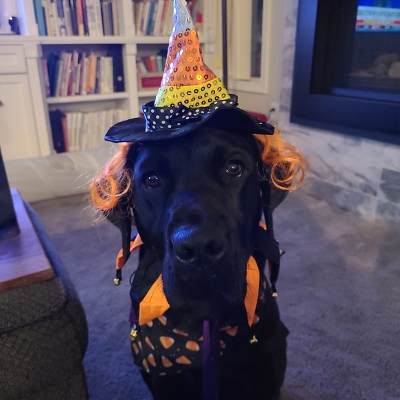 Meet your Posher, Patrice - Picture 13 of 13